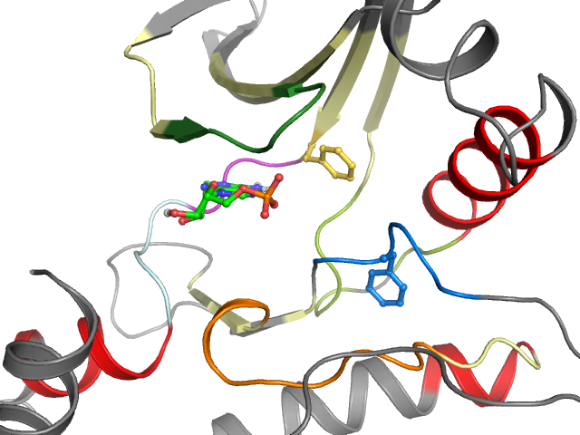 The orthosteric binding pocket