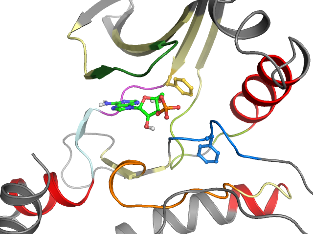 The orthosteric binding pocket