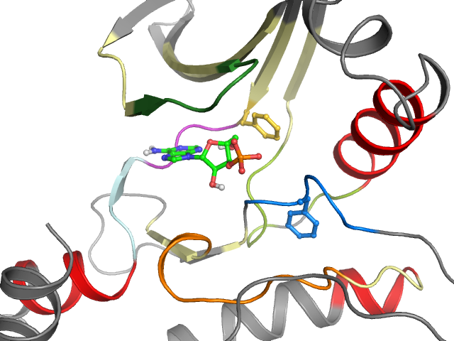 The orthosteric binding pocket