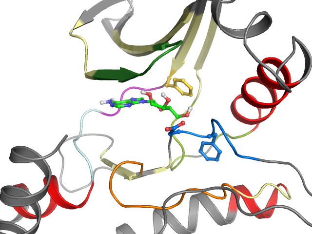 The orthosteric binding pocket