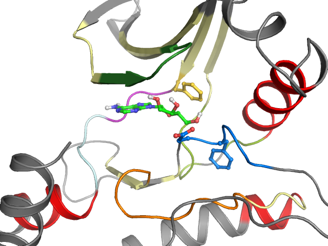 The orthosteric binding pocket
