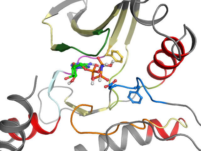 The orthosteric binding pocket