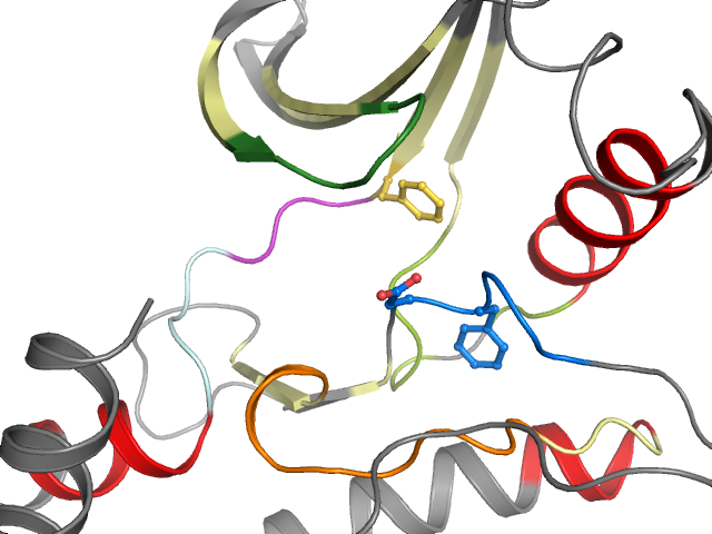 The orthosteric binding pocket
