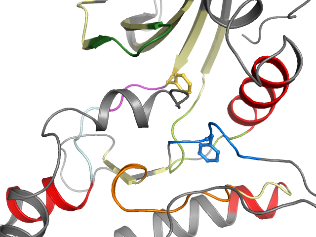 The orthosteric binding pocket