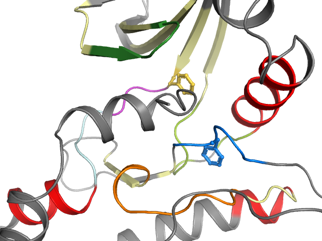 The orthosteric binding pocket