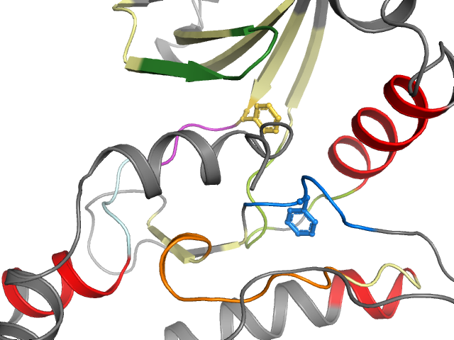 The orthosteric binding pocket