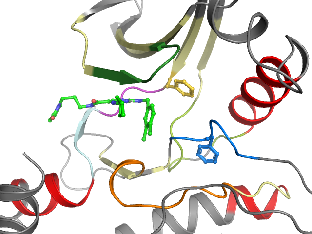 The orthosteric binding pocket