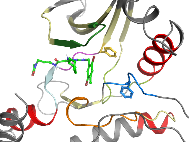 The orthosteric binding pocket