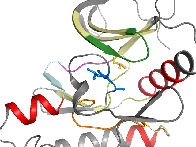 The orthosteric binding pocket