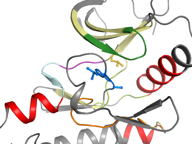 The orthosteric binding pocket