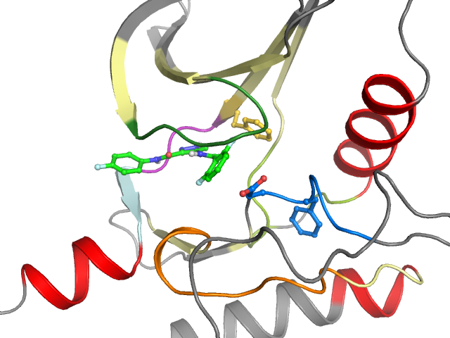 The orthosteric binding pocket