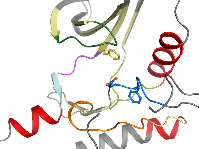 The orthosteric binding pocket