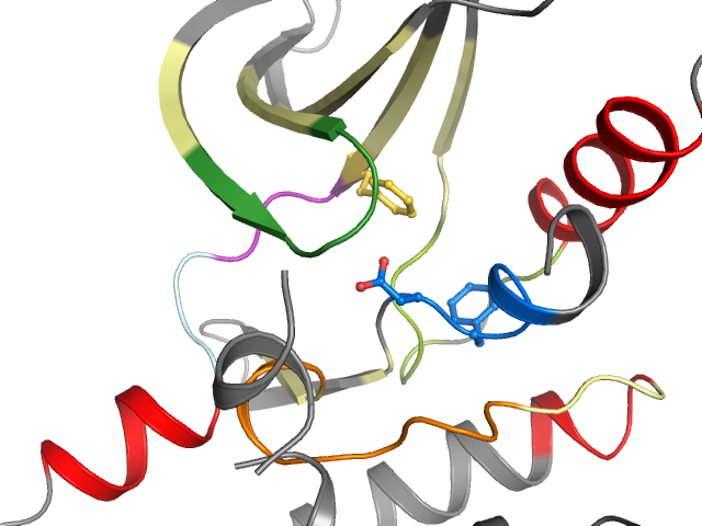 The orthosteric binding pocket