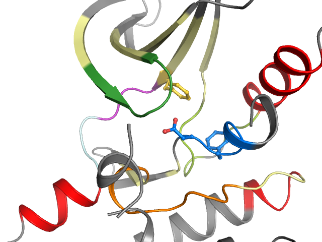 The orthosteric binding pocket