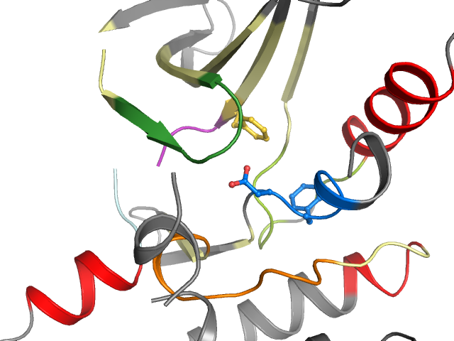 The orthosteric binding pocket