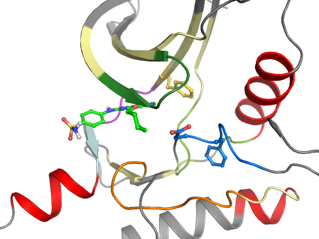The orthosteric binding pocket