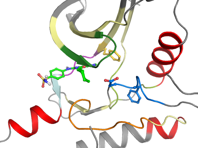 The orthosteric binding pocket