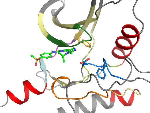 The orthosteric binding pocket