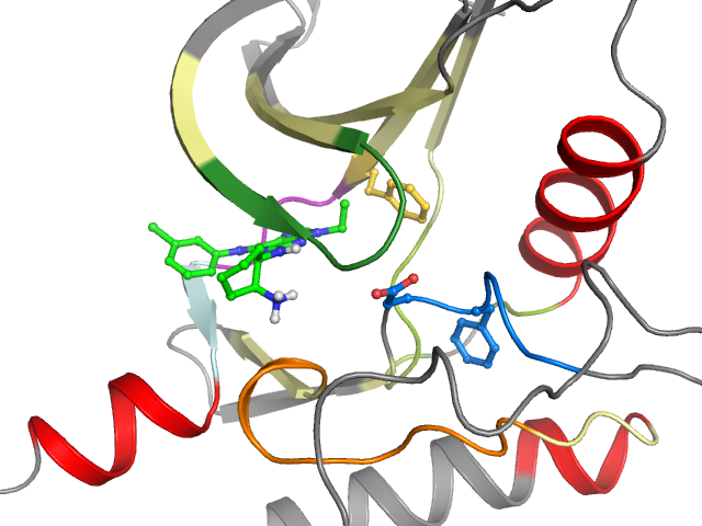 The orthosteric binding pocket