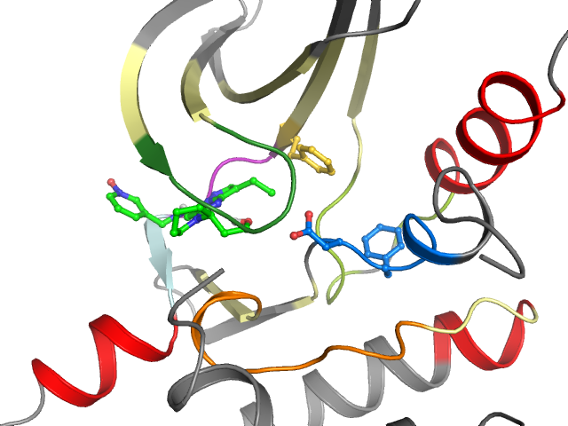 The orthosteric binding pocket