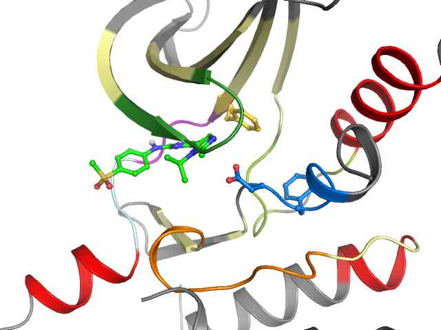The orthosteric binding pocket