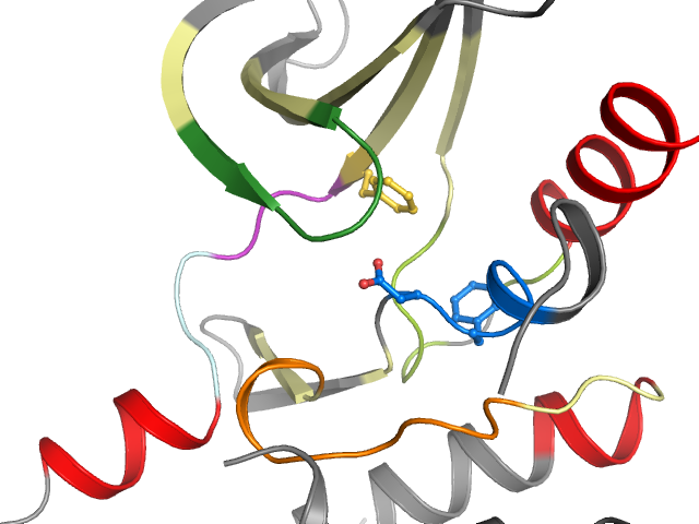 The orthosteric binding pocket