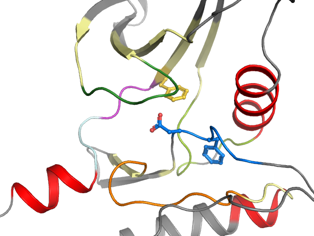 The orthosteric binding pocket