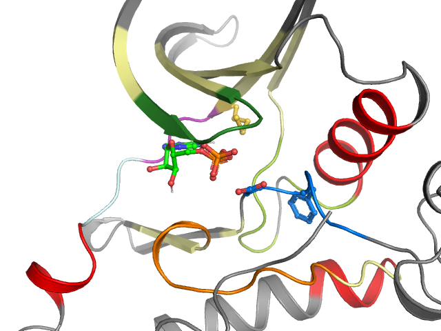 The orthosteric binding pocket