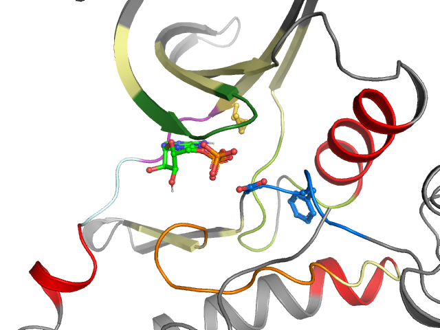 The orthosteric binding pocket