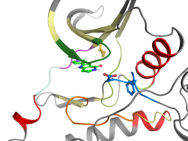 The orthosteric binding pocket