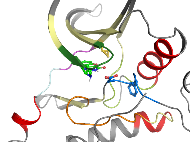 The orthosteric binding pocket