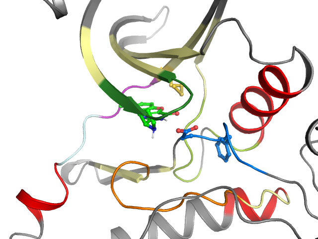 The orthosteric binding pocket