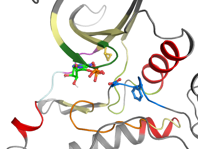 The orthosteric binding pocket