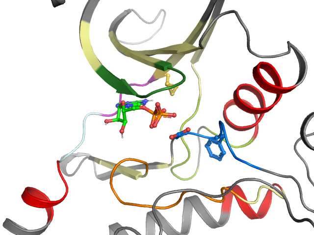 The orthosteric binding pocket
