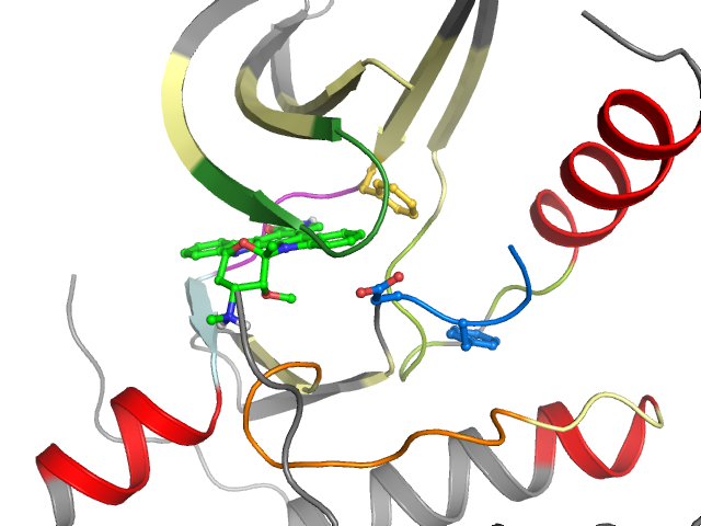 The orthosteric binding pocket