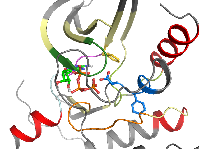 The orthosteric binding pocket