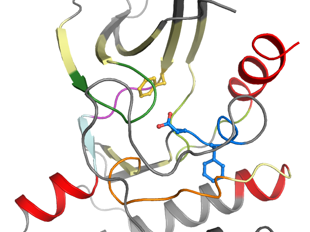 The orthosteric binding pocket