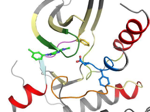 The orthosteric binding pocket