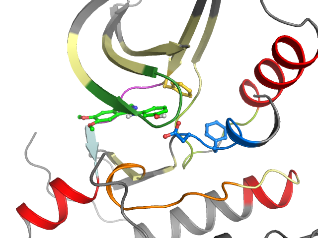 The orthosteric binding pocket