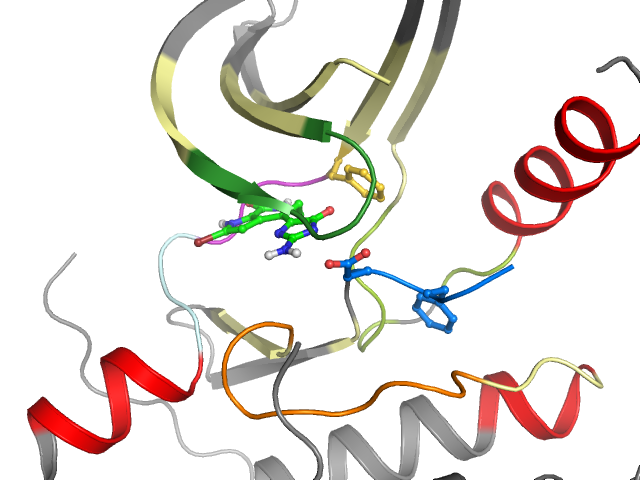 The orthosteric binding pocket
