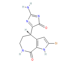 2D structure of the orthosteric ligand