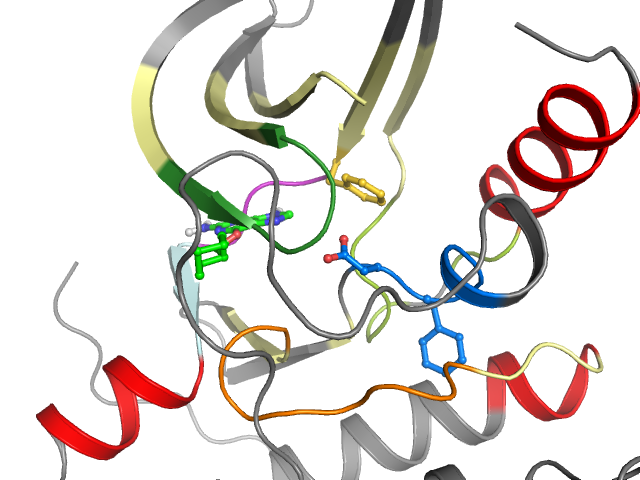 The orthosteric binding pocket