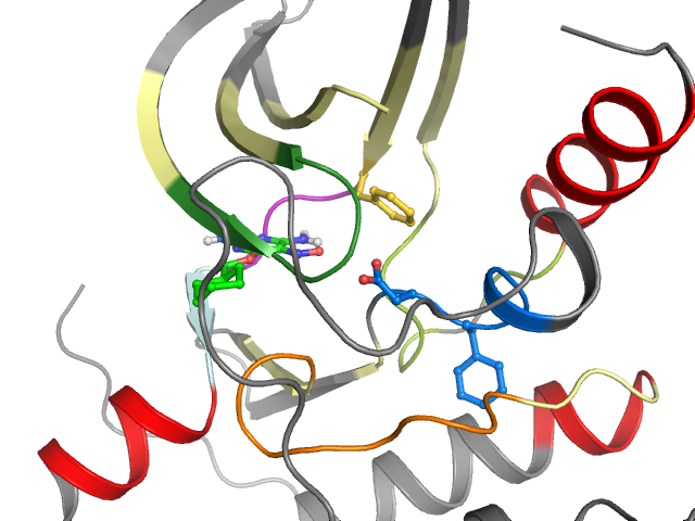 The orthosteric binding pocket