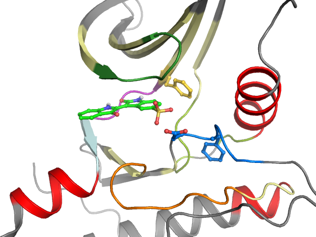 The orthosteric binding pocket