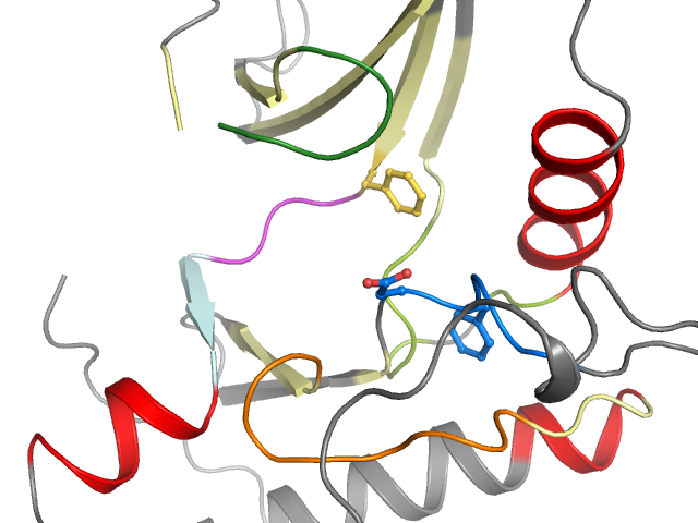 The orthosteric binding pocket