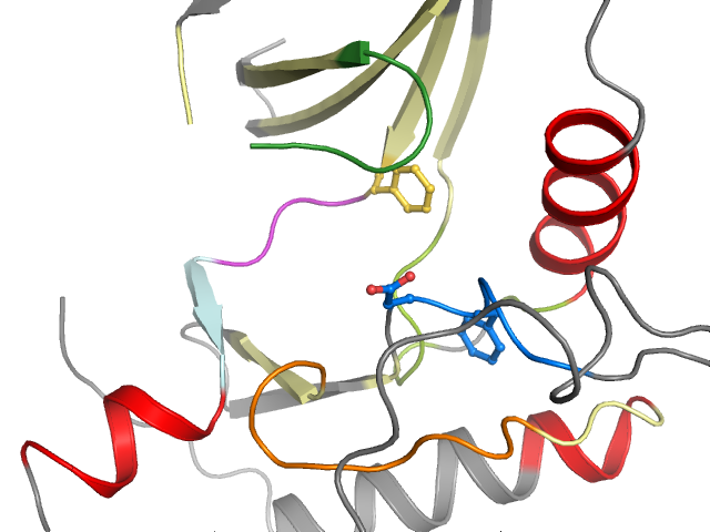The orthosteric binding pocket