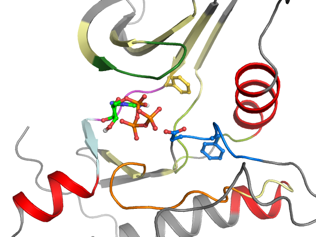 The orthosteric binding pocket