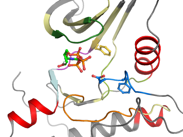 The orthosteric binding pocket