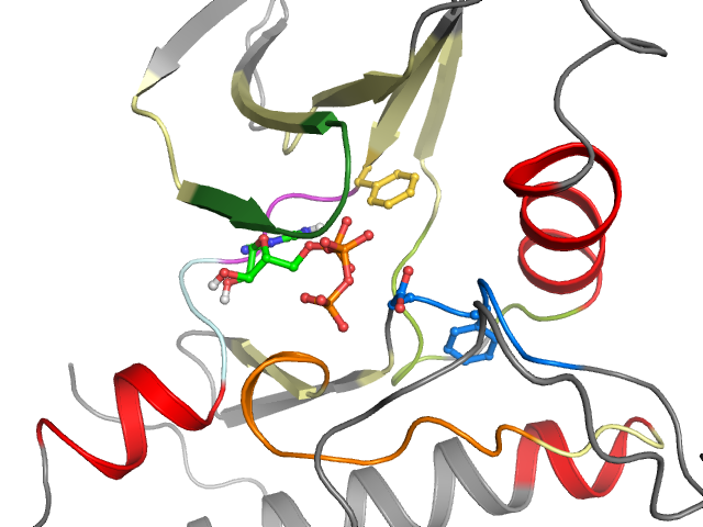 The orthosteric binding pocket