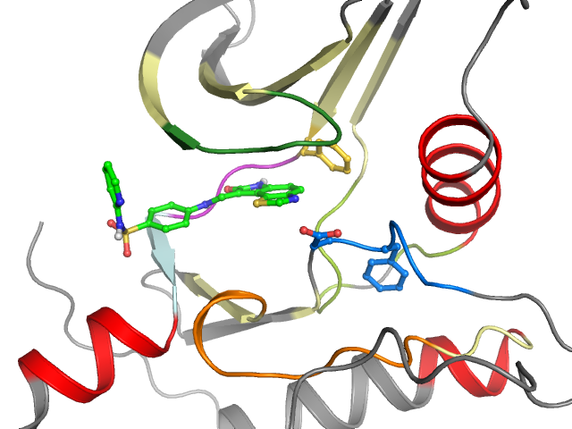 The orthosteric binding pocket